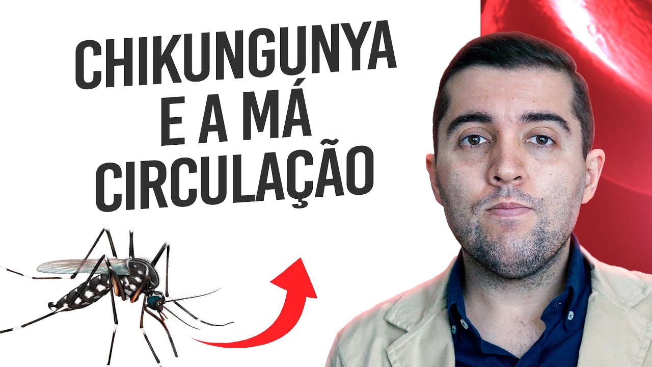 Entenda os riscos da Chikungunya com relação à má circulação e a trombose. Quais sinais de alerta?
