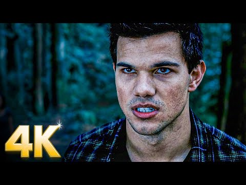 Jacob Betrays the Pack to Protect the Cullens | Breaking Dawn – Part 1 | CLIP ⚡ 4K
