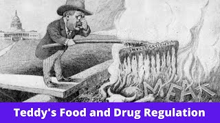 History Brief: Teddy's Food and Drug Regulation