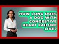 How Long Does A Dog With Congestive Heart Failure Live? - Cardiology Community