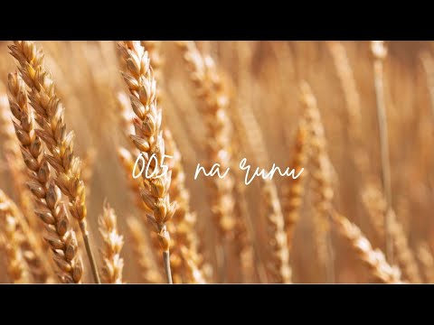 Na Runu (Official Audio) [Lyrics in CC]