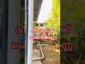 280 House For Sale Near Perinthalmanna Puzhakkattiri