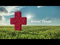 Кінто Плюс — сучасний протруйник для зернових культур