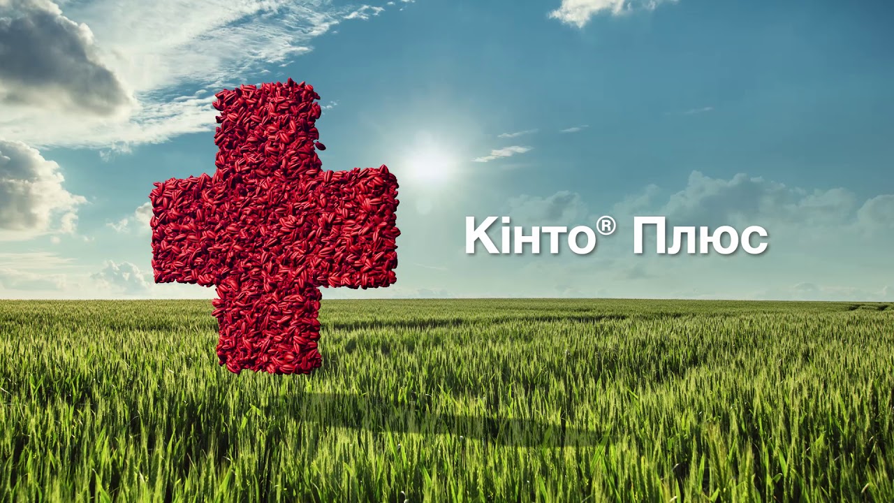 Кінто Плюс — сучасний протруйник для зернових культур
