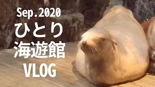 【VLOG】ひとり海遊館2020