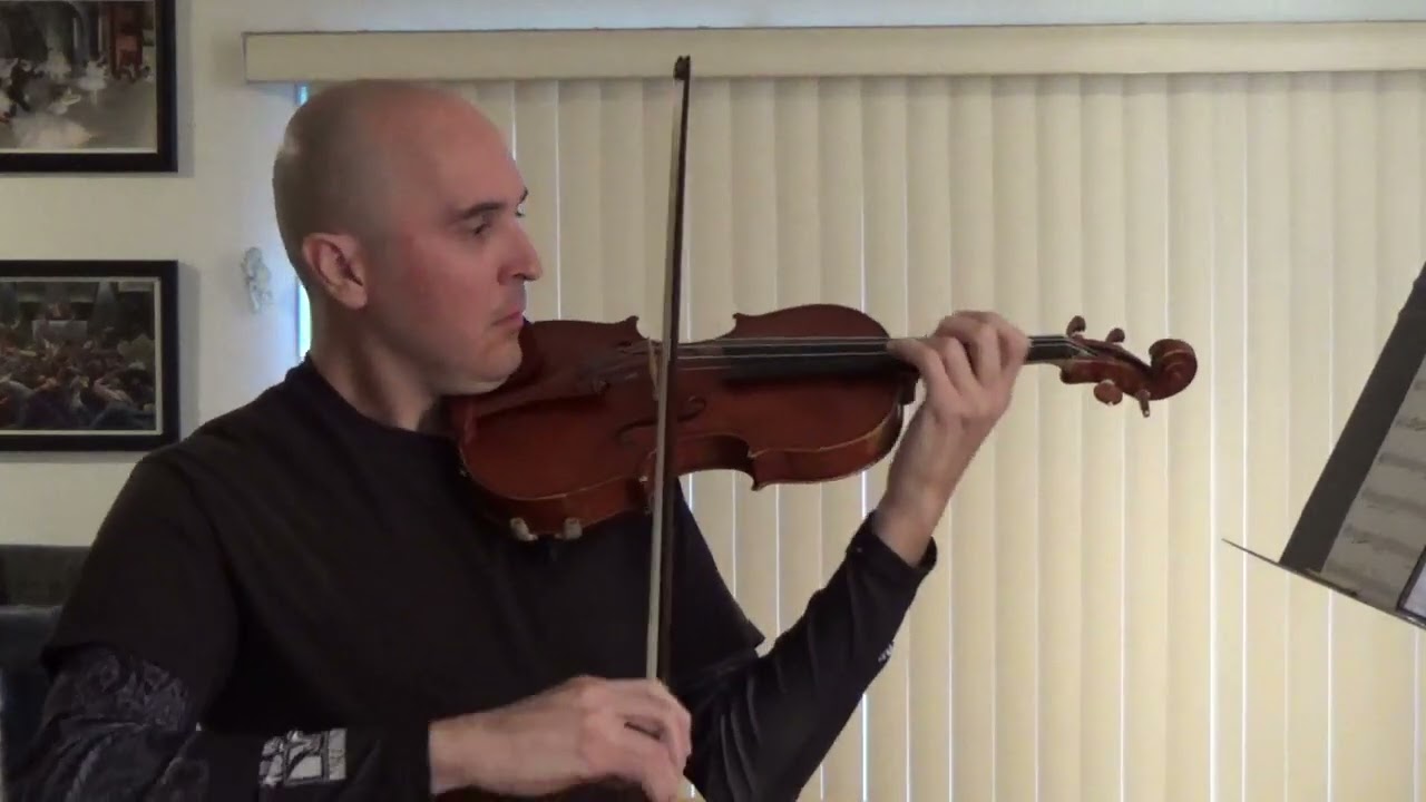 Promotional video thumbnail 2 for Santa Barbara Wedding Music
