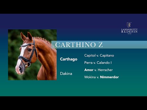 Carthino Z v. Carthago -Amor, Zangersheide, Hengst, gekört, 2000
