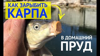 Рыбалка на калитниковском пруду 2020
