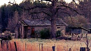 Freeny Harmonizers - Podunk Toddle