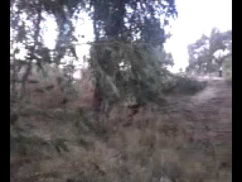 بيان يلقيه الملازم أول شريف الكايد يعلن فيه السيطرة على سرية رسم الدرب في القنيطرة