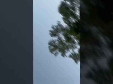 🇦🇷x🇺🇾 Despre, Peke 77 M96 Dj Gere