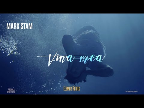 Mark Stam vs Elemer - Vina Mea | Remix