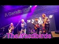 The Yardbirds - A Certain Girl - Vallemaggia Magic Blues 2025 #theyardbirds #bluesrock