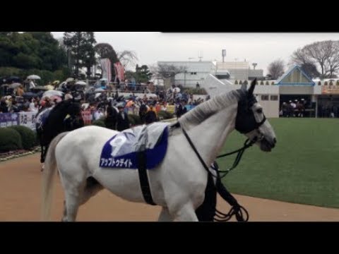 2018年 中山大障害 レース結果　アップトゥデイトぉぉおお