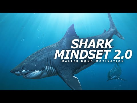 SHARK MINDSET - PART 2  | One of the Best Speeches Ever by Walter Bond