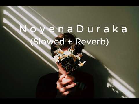 Noyena Duraka - Slowed+Reverb