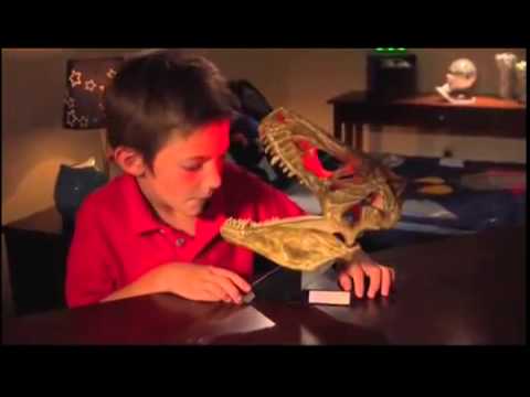Настольный светильник-проектор "Череп Тиранозавра"