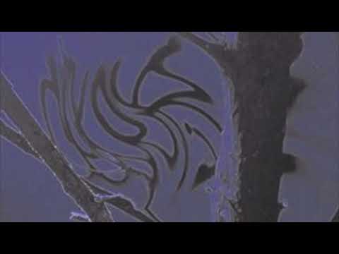 IGNORANCE IS BLISS? (prod. Rzuma)