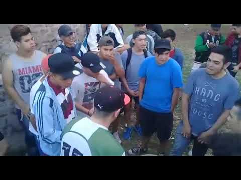 Marmaduke indigo vs Dario slr