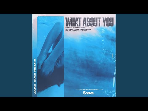 What About You (feat. Diana Miro, Hugo Cantarra & Stone Van Brooken) (Jako Diaz Remix)