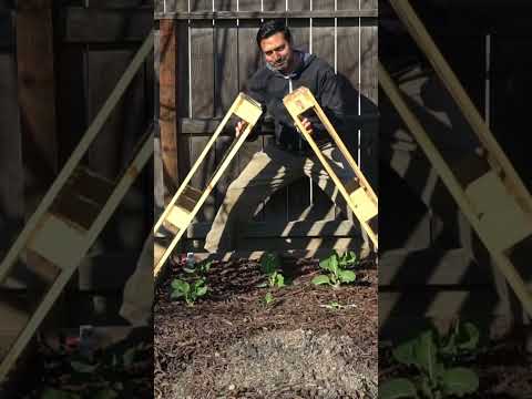 DIY Greenhouses and ColdFrames