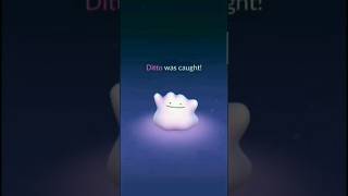 Secret Methods Revealed: How to Caught Ditto in Pokemon Go July 2023