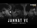 Darshan Raval Jannat Ve Lofi Slowed Reverb IK World