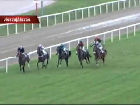 Gróf Károlyi Gyula EV (Listed) 1300m