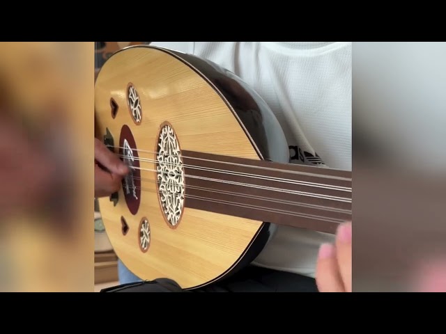 عود بحريني ابو قلبين