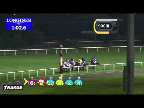 20.02.2014 Meydan (Dubai-UAE) 5.Race Balanchine Stakes 2014 - Group II 1.800 m