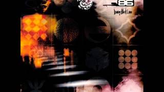 Project 86 Stein&#39;s Theme