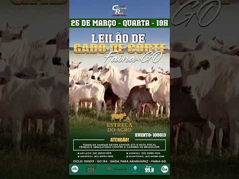 LEILÃO GADO DE CORTE ESTRELA DO AGRO LEILÕES  FAINA-GO 25/03/2026 | Leilão ao Vivo - Leilão de Gado