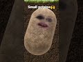 Small Potatoes