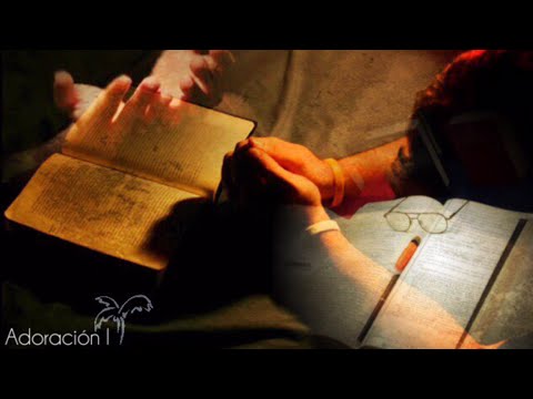 Cadena de Adoración | 1 Hora de Ministerios Elim