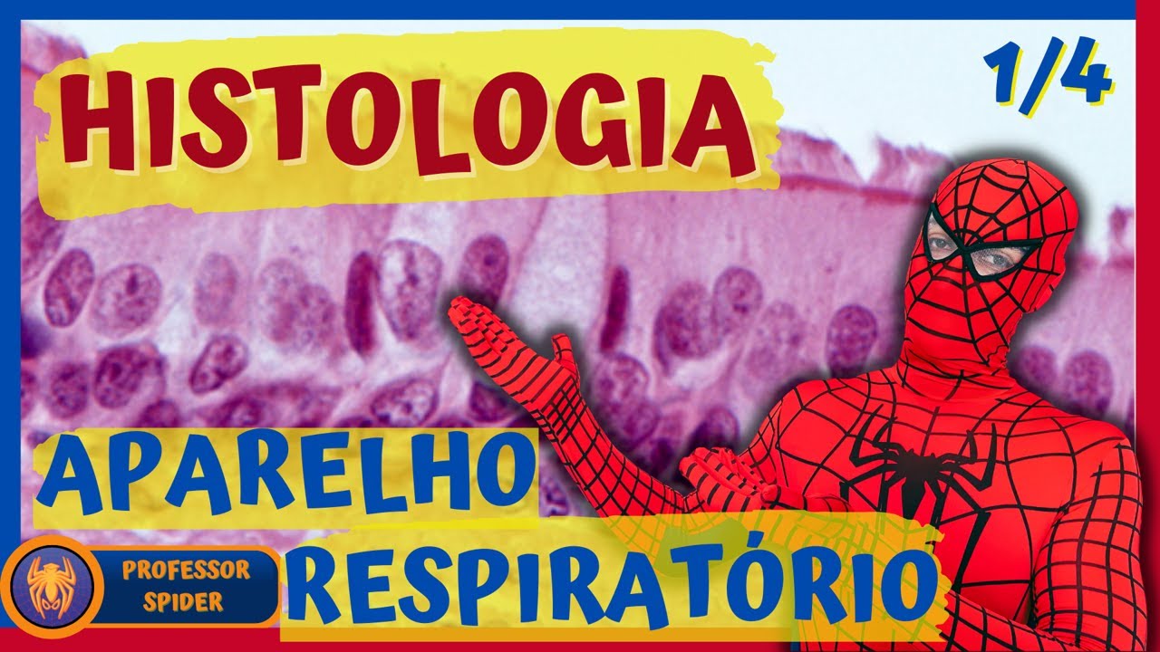 Aula | Histologia do Aparelho Respiratório | Histology Guide - parte 1/4 [Conchas nasais]