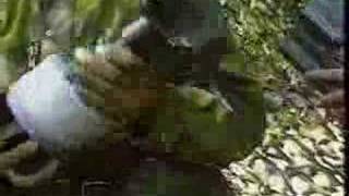 Re: [討論] 精準火砲之於坦克=槍之於冷兵器？