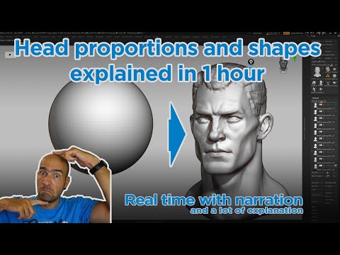 Proportions and shapes of the human head in 1 hour