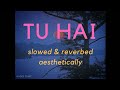 Tu Hai Slowed Reverbed Mohenjo Daro AR Rahman