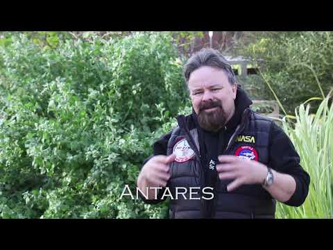 Scorpius - Starman's 2-minute Astronomy