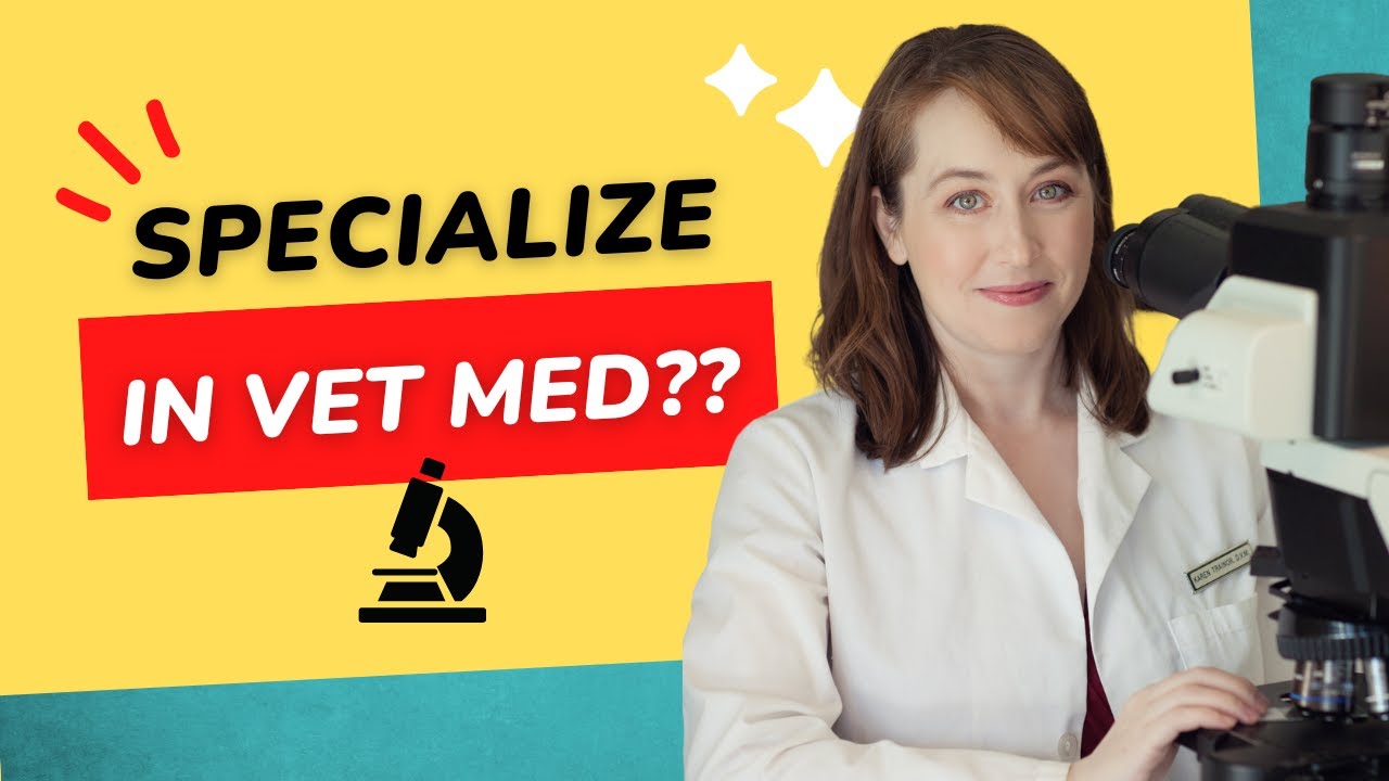 Should You Specialize in Veterinary Medicine?