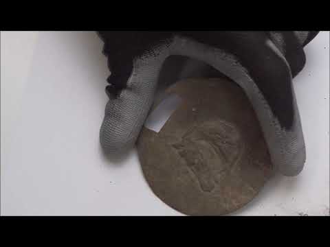 Restaurationsstifte für Bodenfunde