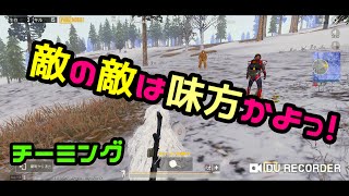 【PUBGモバイル】またチーミングに出会ってしまった【チーミング】【不正行為】