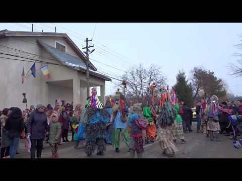 Ursul de la Blagesti 2018 - 2019 part 6