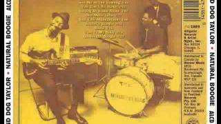 Hound Dog Taylor - Sitting at Home Alone