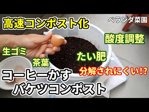 庭でのコーヒーかすの一般的な 3 つの用途 + 安全なガーデニングのために避けるべき 5 つの間違い!  庭園
