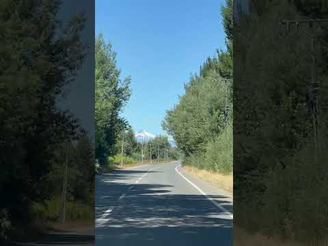 Ruta S-785 - Loncoche - Araucania CL