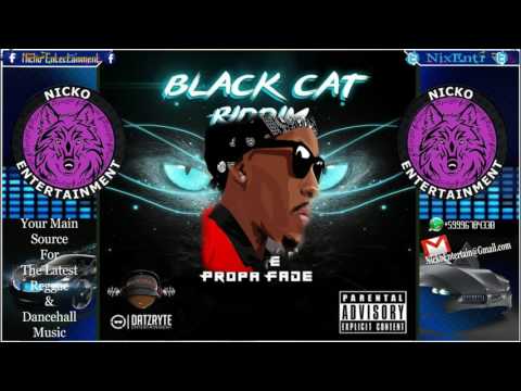 Propa Fade - Bury Dem (Raw) [Black Cat Riddim] January 2017