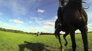 The Truck Fence at South Oxfordshire Sponsored Ride via @GoPro