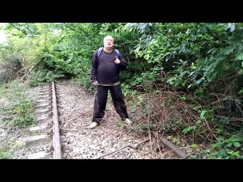 (HU)FEHÉR HOLLÓ röpTÉVÉ:  Vágánydzsungel Félixfürdőn –  Jungla, șine pe ruta Oradea–Felix–Cordău.