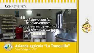preview picture of video 'Azienda agricola La Tranquilla'